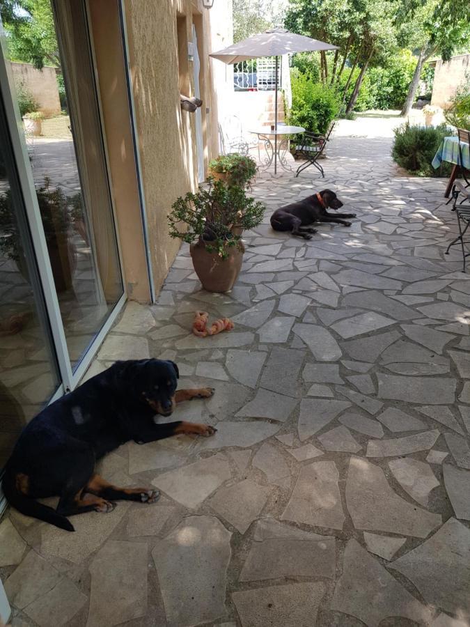 Cap Au Sud Sweet Home Nîmes Esterno foto