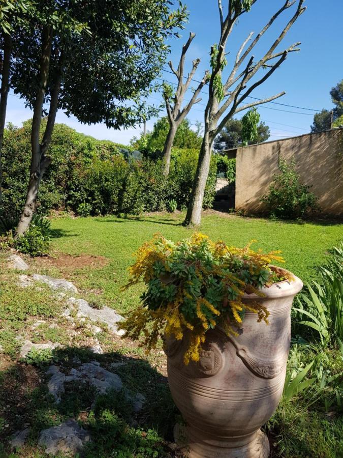 Cap Au Sud Sweet Home Nîmes Esterno foto