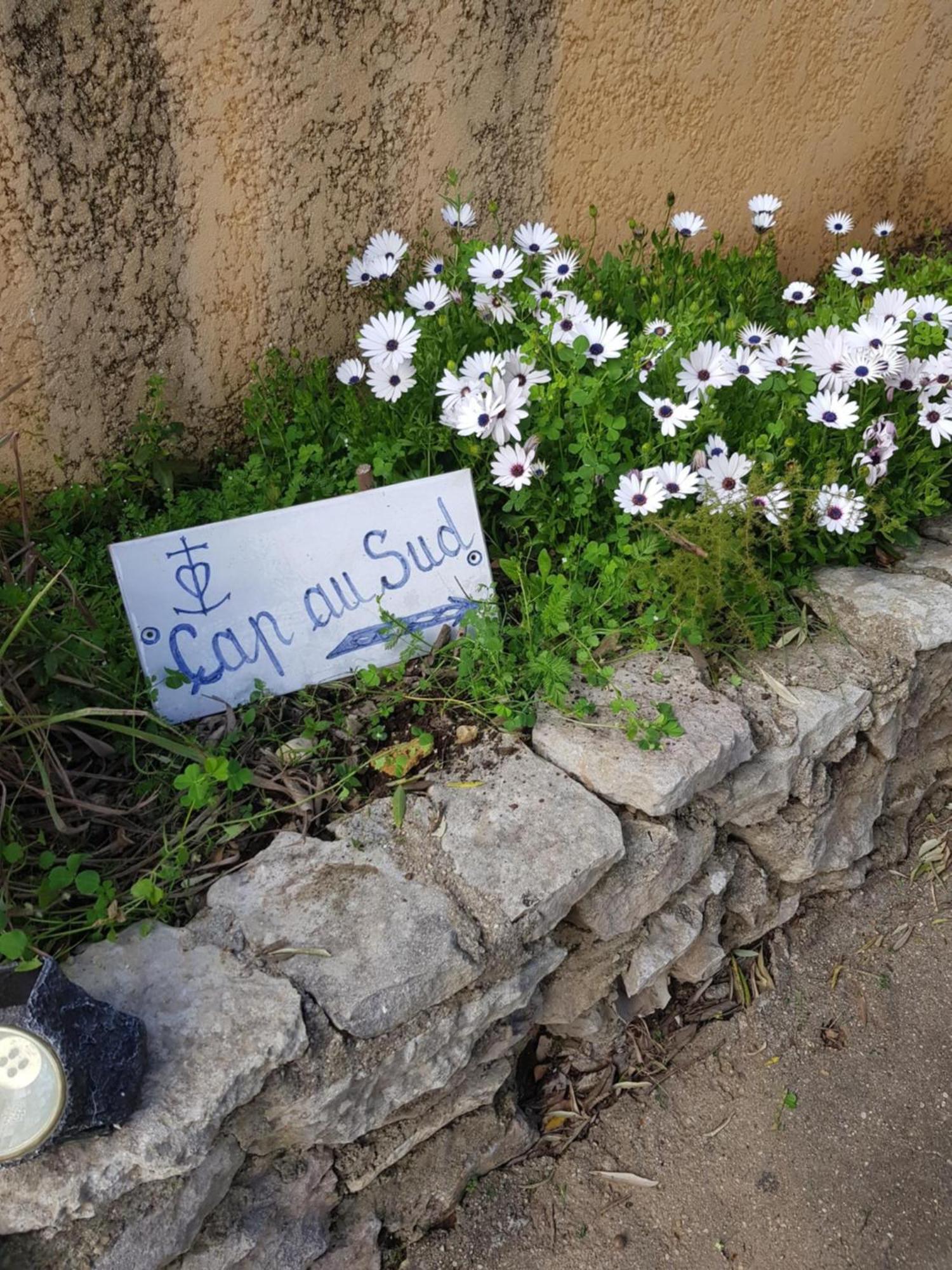 Cap Au Sud Sweet Home Nîmes Esterno foto