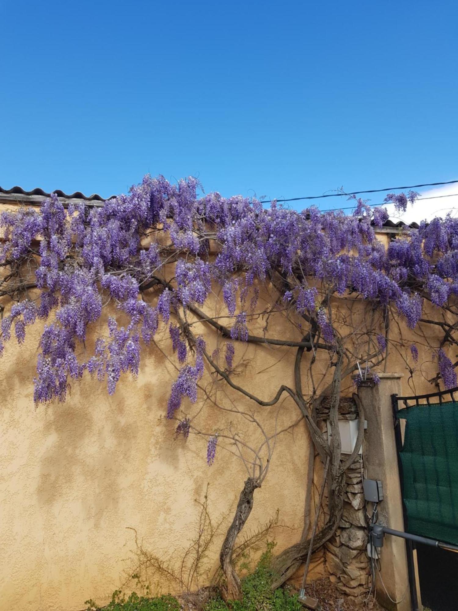 Cap Au Sud Sweet Home Nîmes Esterno foto