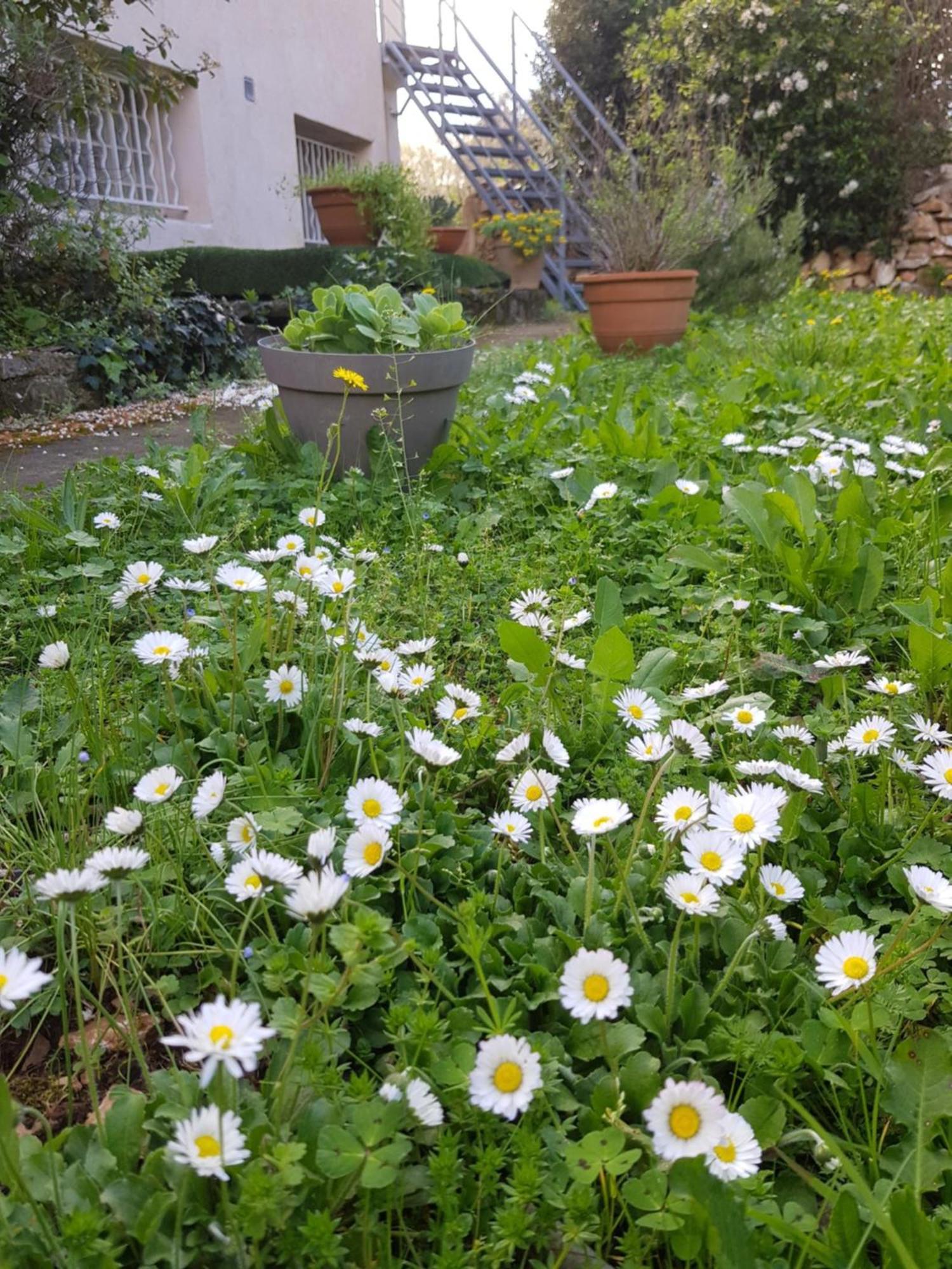 Cap Au Sud Sweet Home Nîmes Esterno foto