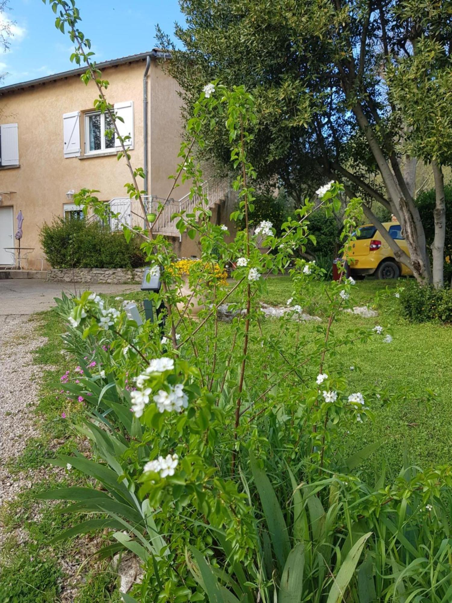Cap Au Sud Sweet Home Nîmes Esterno foto