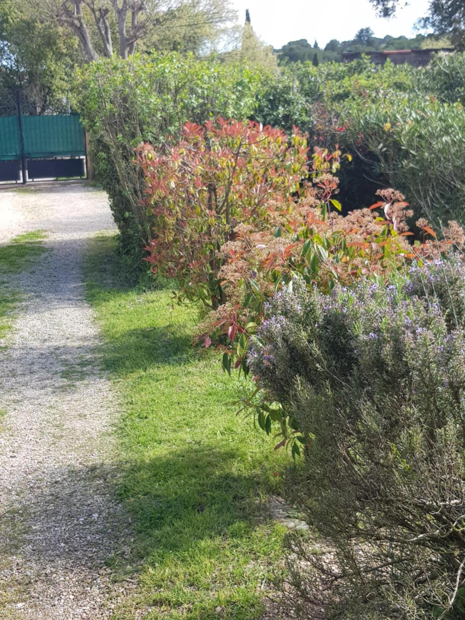 Cap Au Sud Sweet Home Nîmes Esterno foto