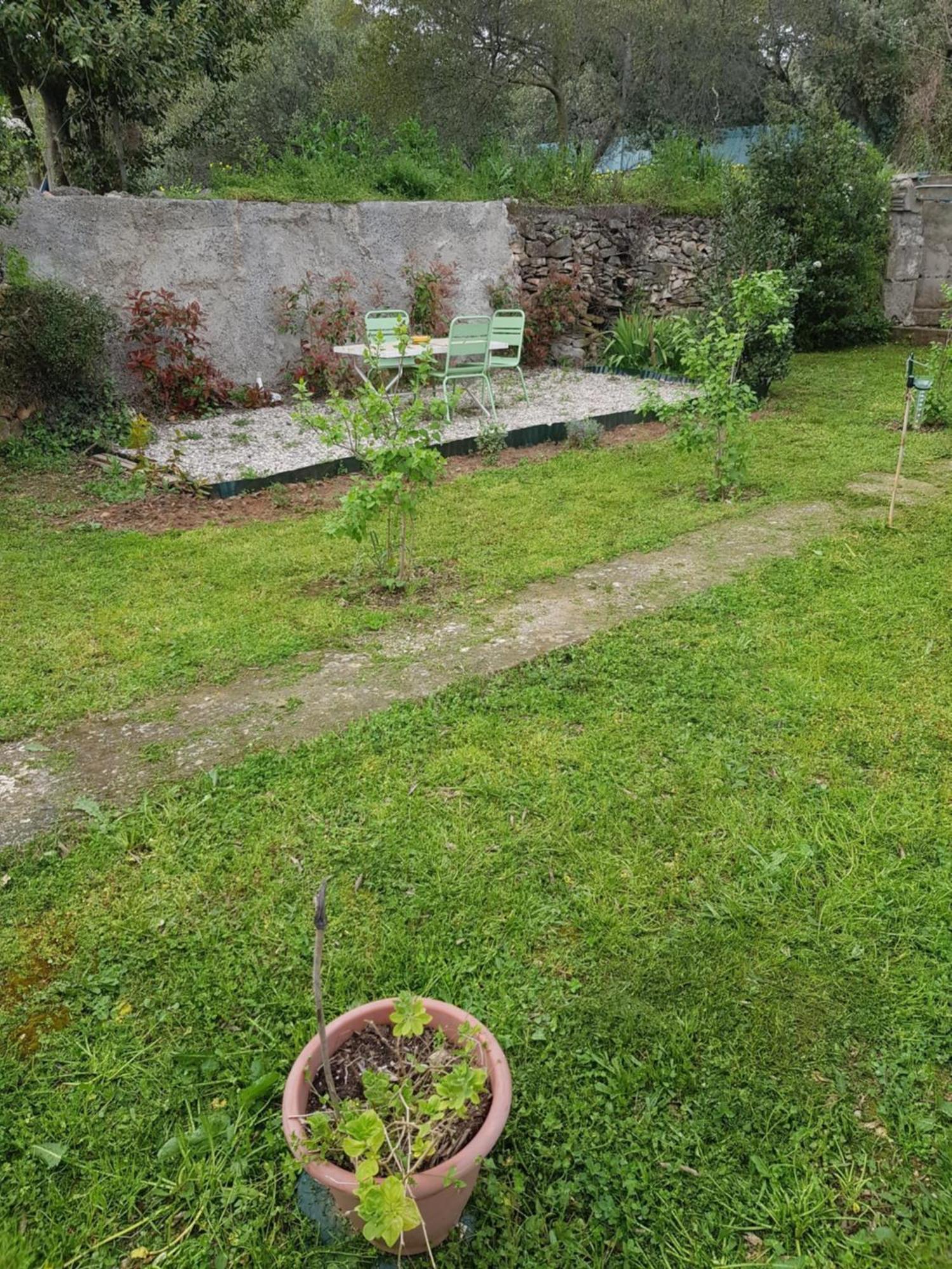 Cap Au Sud Sweet Home Nîmes Esterno foto