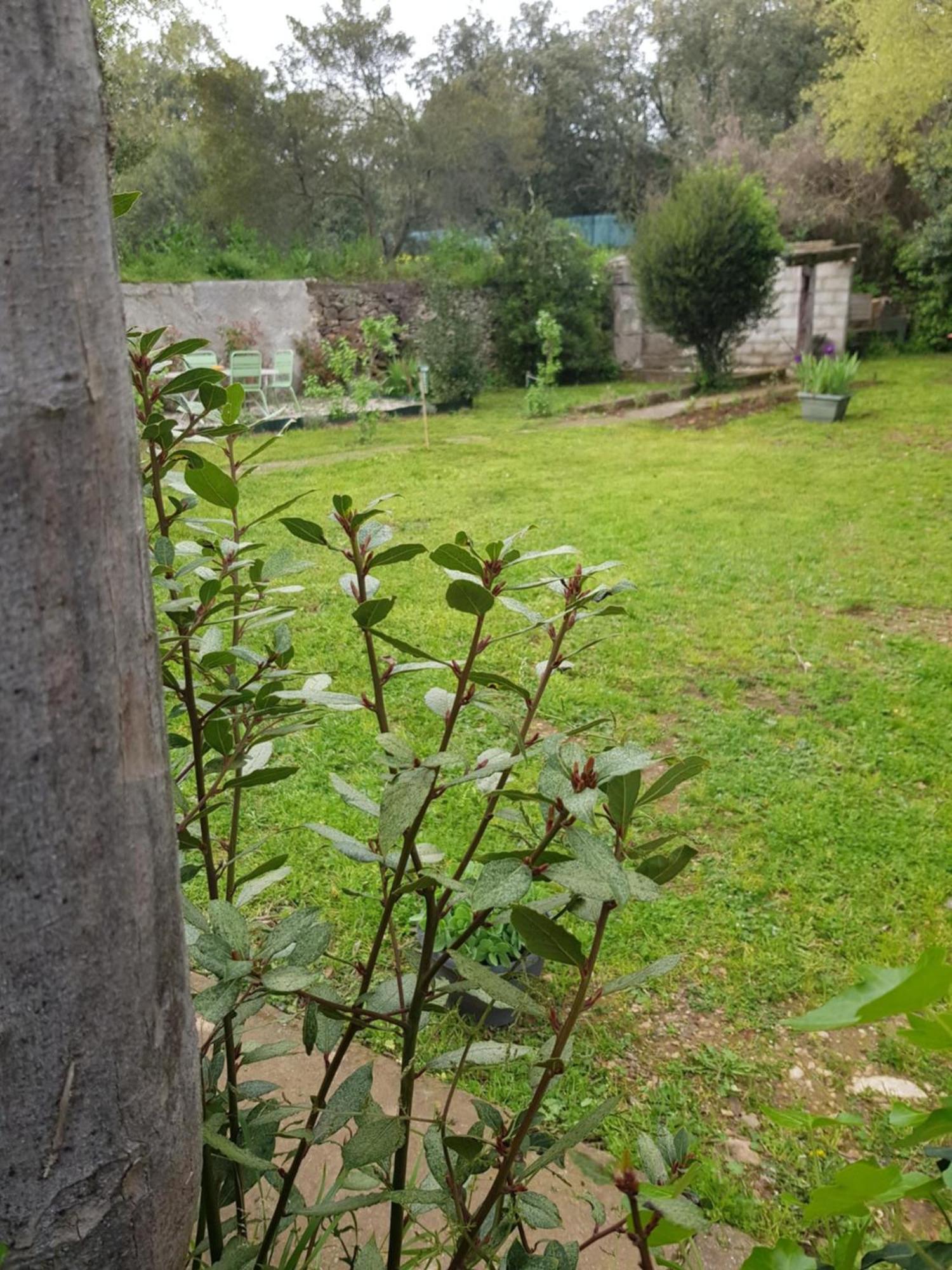 Cap Au Sud Sweet Home Nîmes Esterno foto