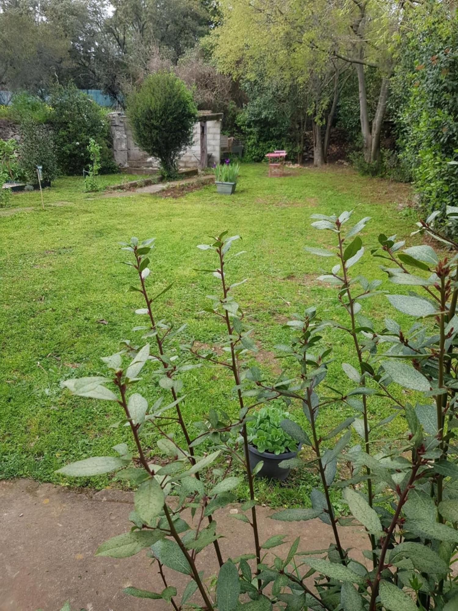 Cap Au Sud Sweet Home Nîmes Esterno foto