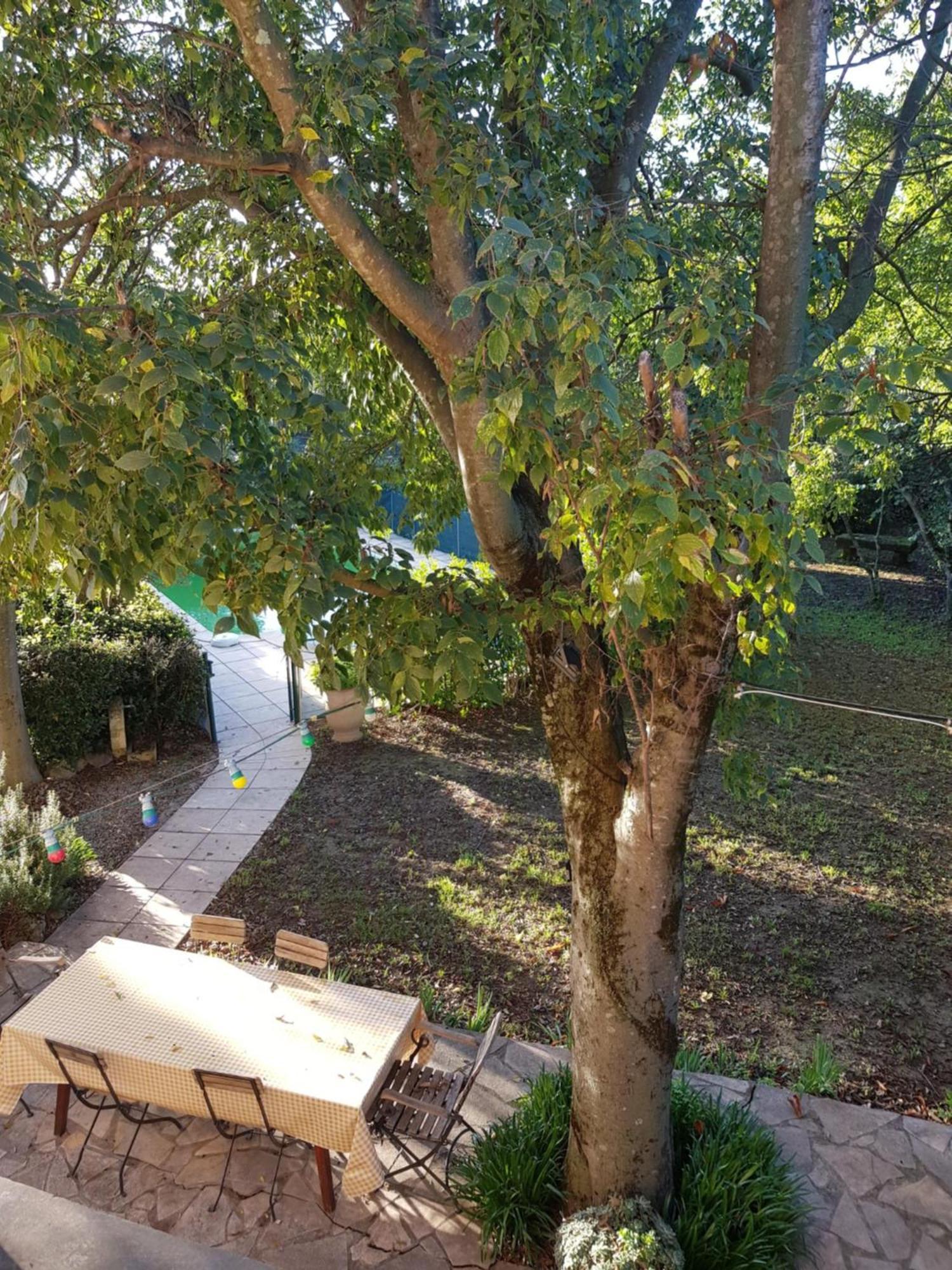 Cap Au Sud Sweet Home Nîmes Esterno foto