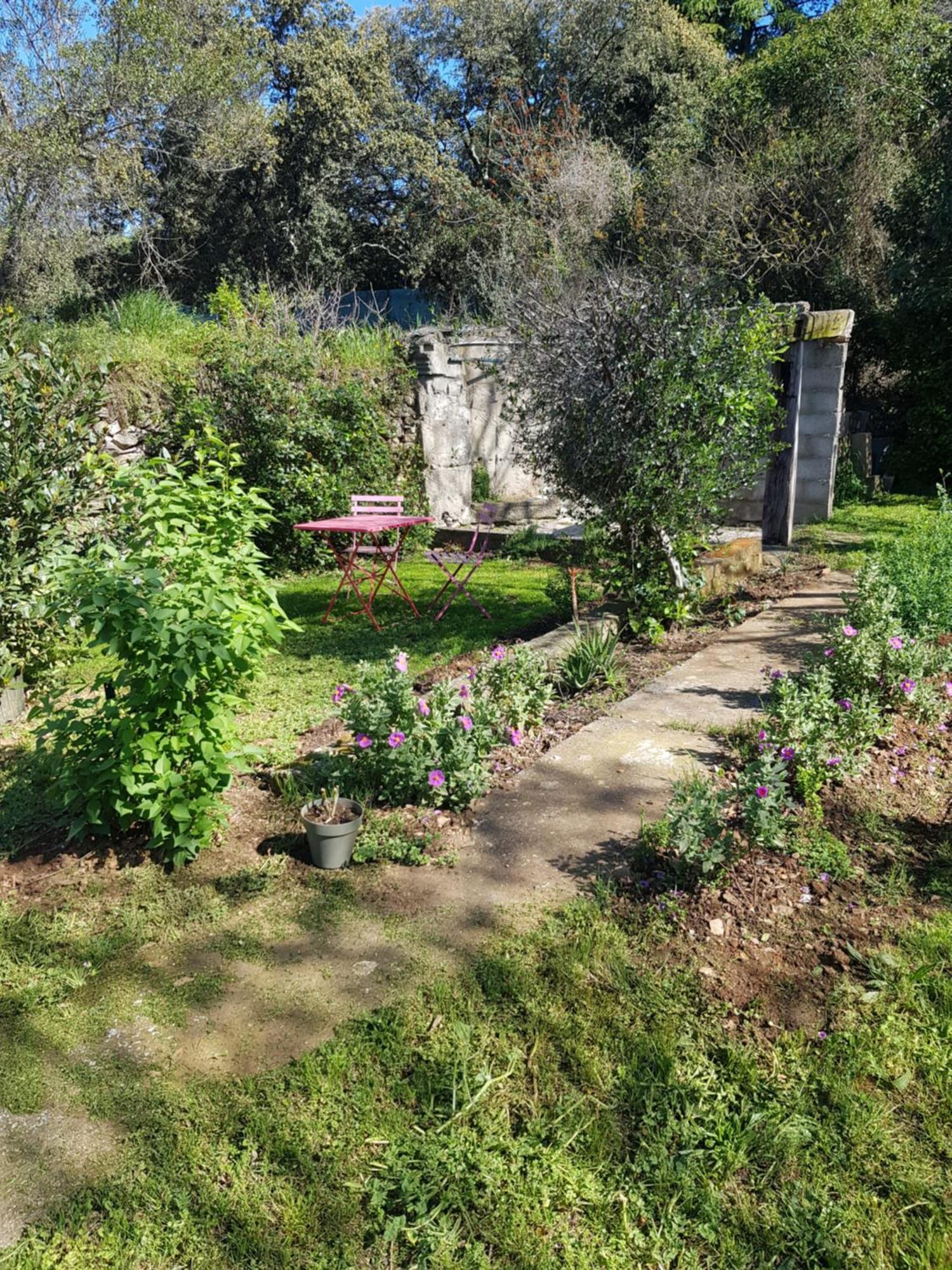 Cap Au Sud Sweet Home Nîmes Esterno foto